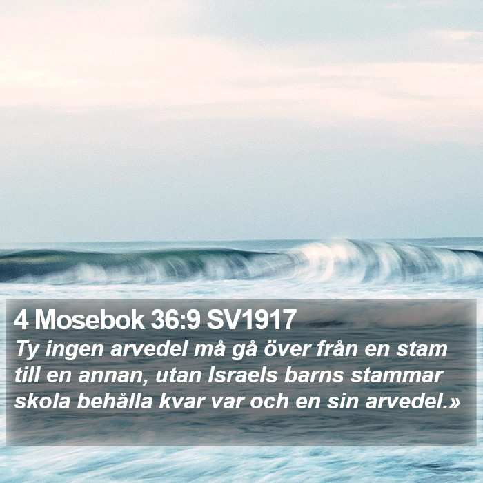 4 Mosebok 36:9 SV1917 Bible Study