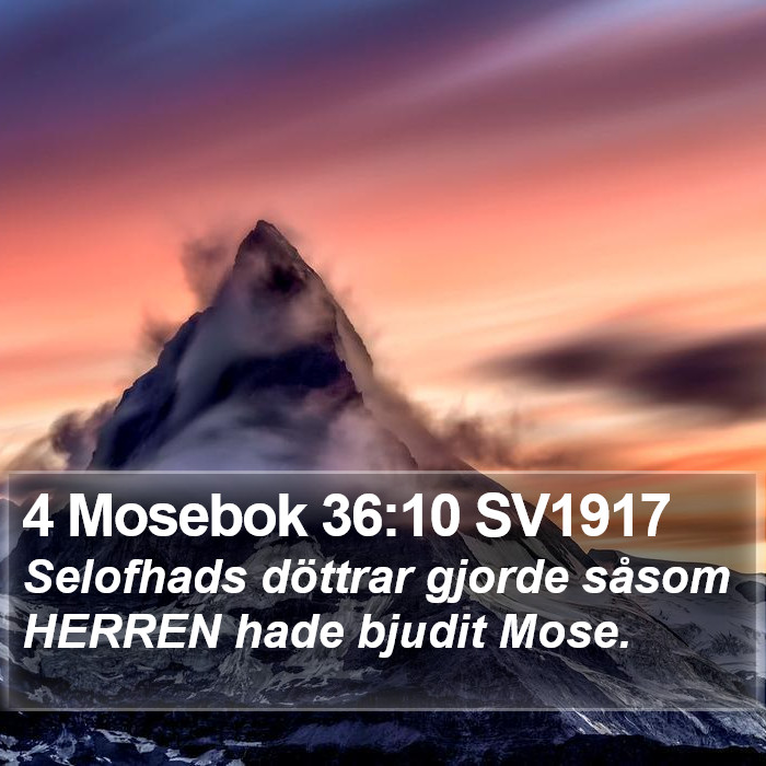 4 Mosebok 36:10 SV1917 Bible Study