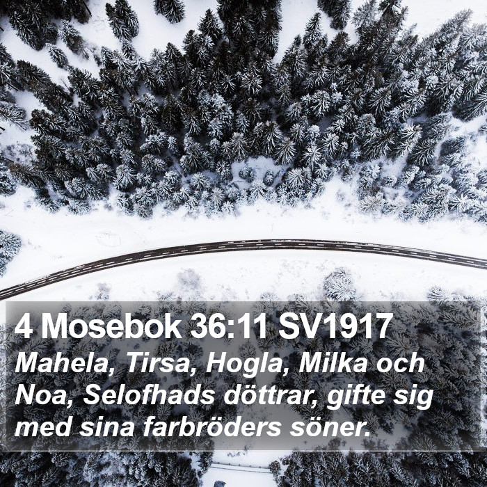 4 Mosebok 36:11 SV1917 Bible Study