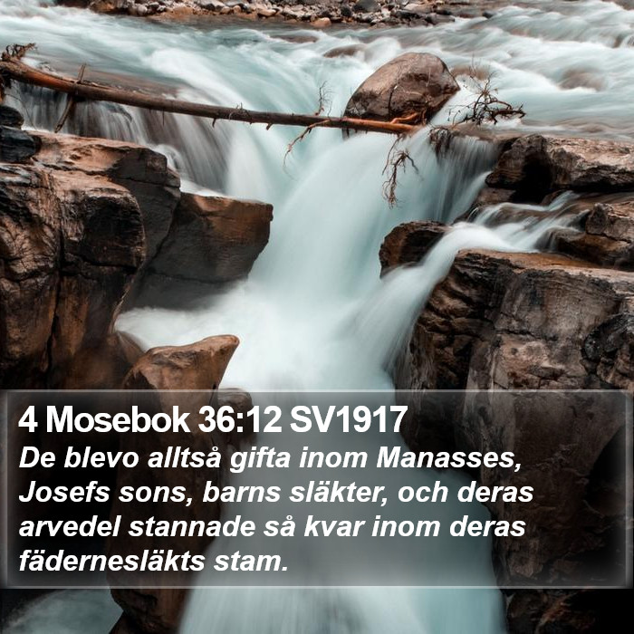 4 Mosebok 36:12 SV1917 Bible Study