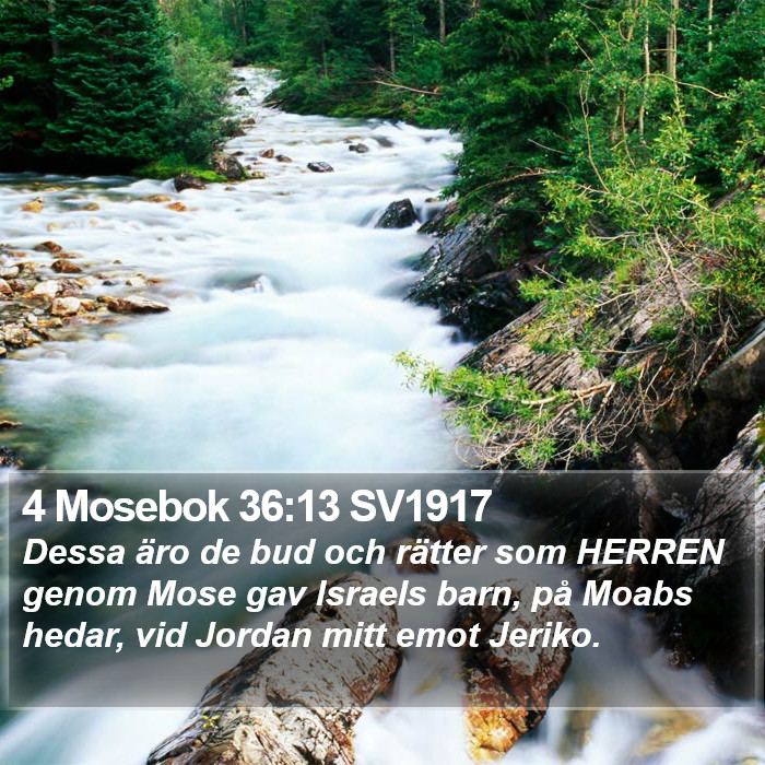 4 Mosebok 36:13 SV1917 Bible Study