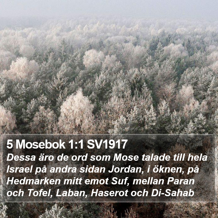 5 Mosebok 1:1 SV1917 Bible Study