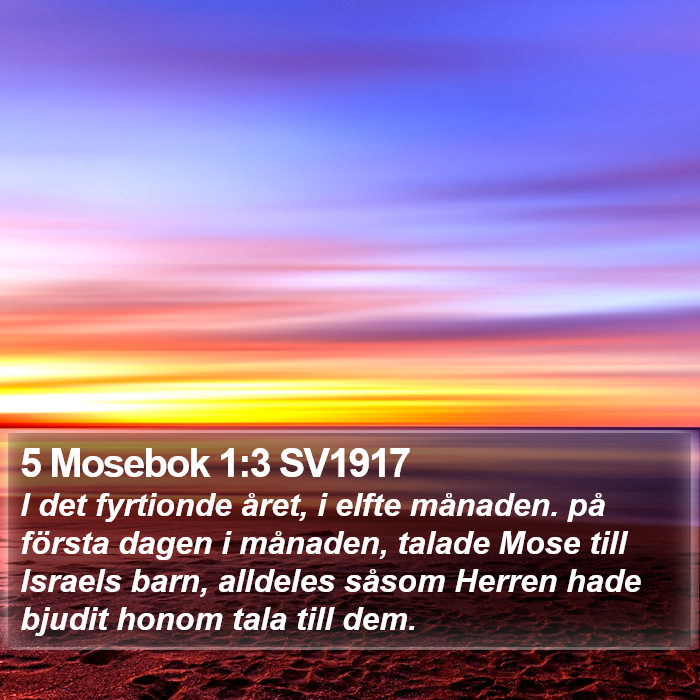 5 Mosebok 1:3 SV1917 Bible Study