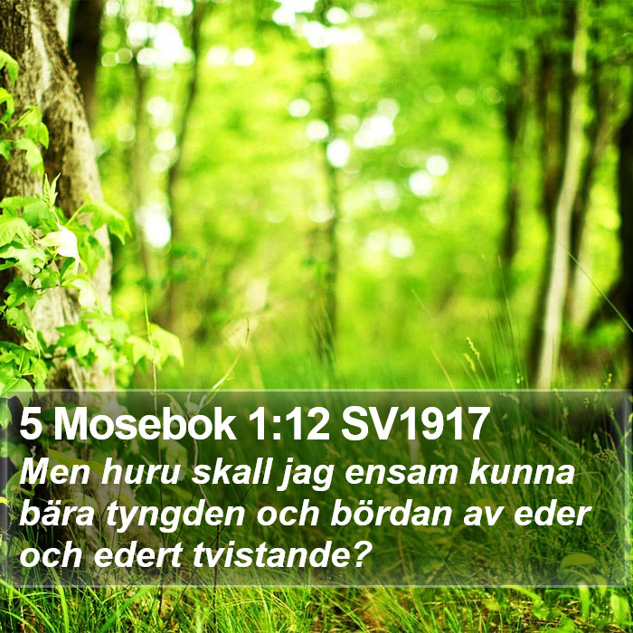 5 Mosebok 1:12 SV1917 Bible Study