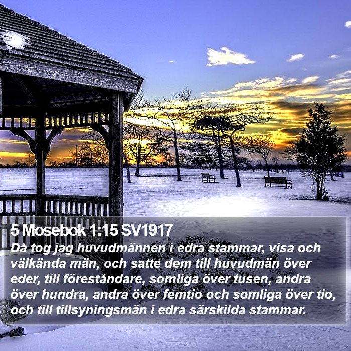 5 Mosebok 1:15 SV1917 Bible Study