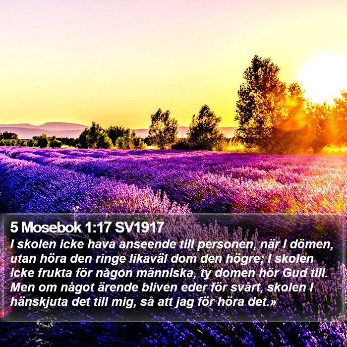 5 Mosebok 1:17 SV1917 Bible Study