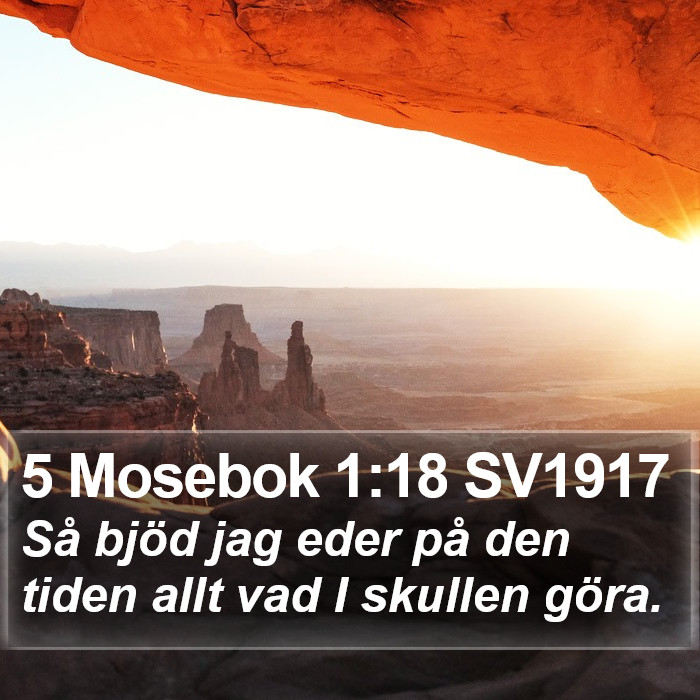 5 Mosebok 1:18 SV1917 Bible Study