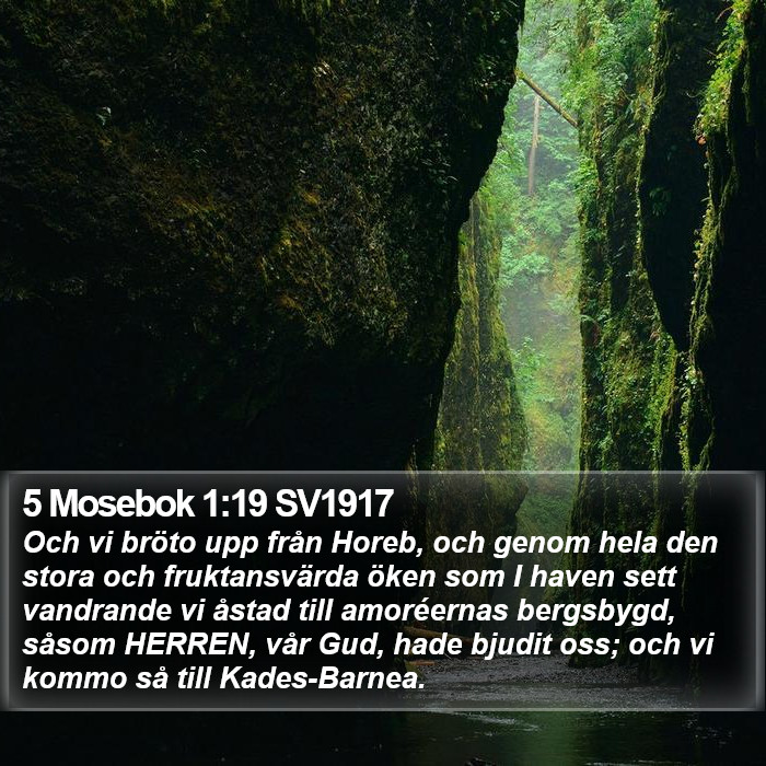 5 Mosebok 1:19 SV1917 Bible Study