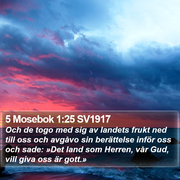 5 Mosebok 1:25 SV1917 Bible Study