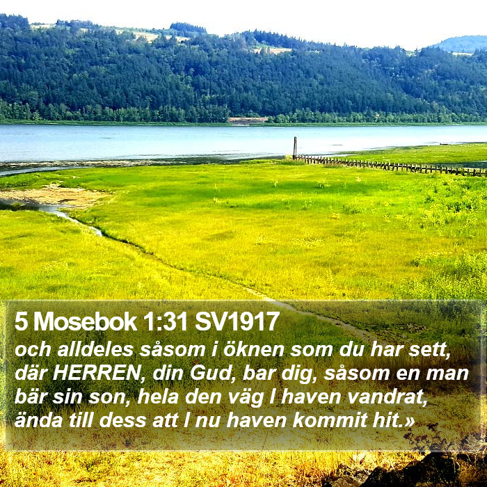 5 Mosebok 1:31 SV1917 Bible Study