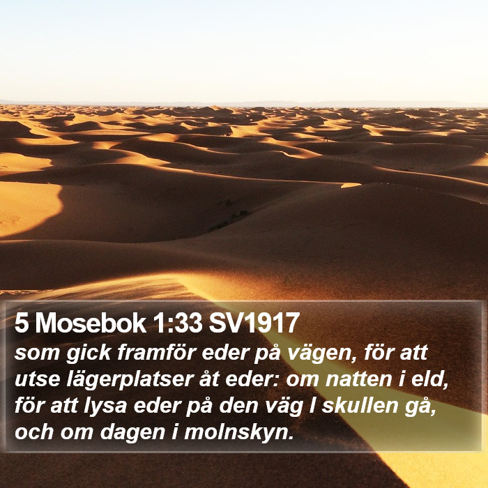 5 Mosebok 1:33 SV1917 Bible Study