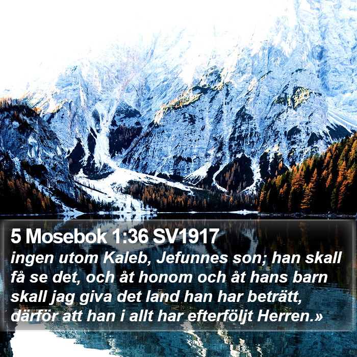 5 Mosebok 1:36 SV1917 Bible Study