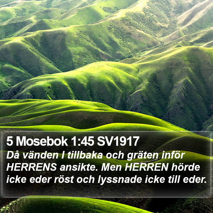 5 Mosebok 1:45 SV1917 Bible Study