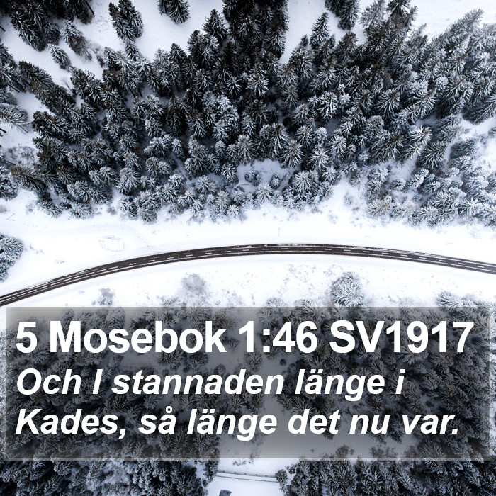 5 Mosebok 1:46 SV1917 Bible Study