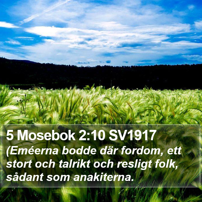 5 Mosebok 2:10 SV1917 Bible Study