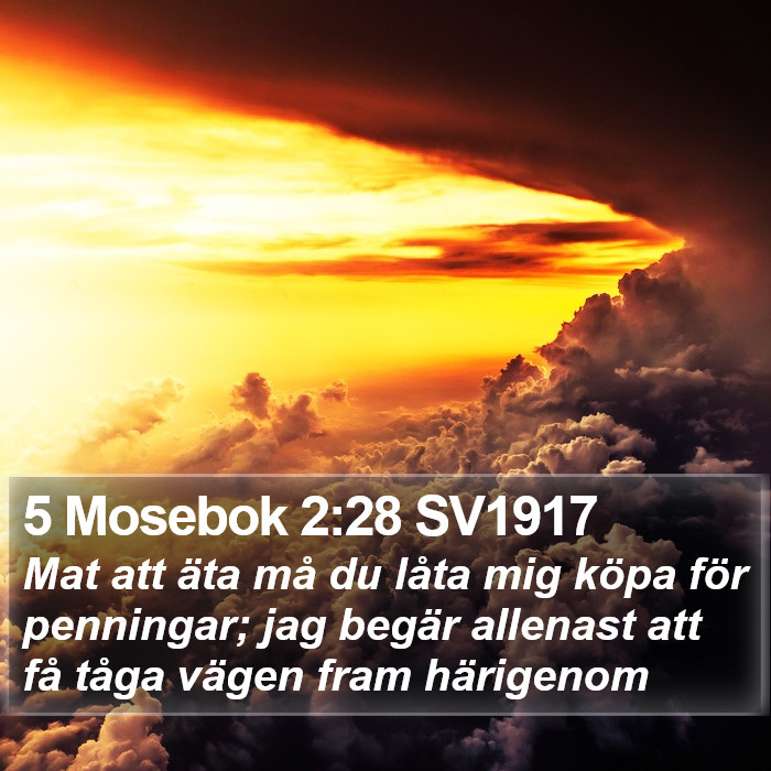 5 Mosebok 2:28 SV1917 Bible Study