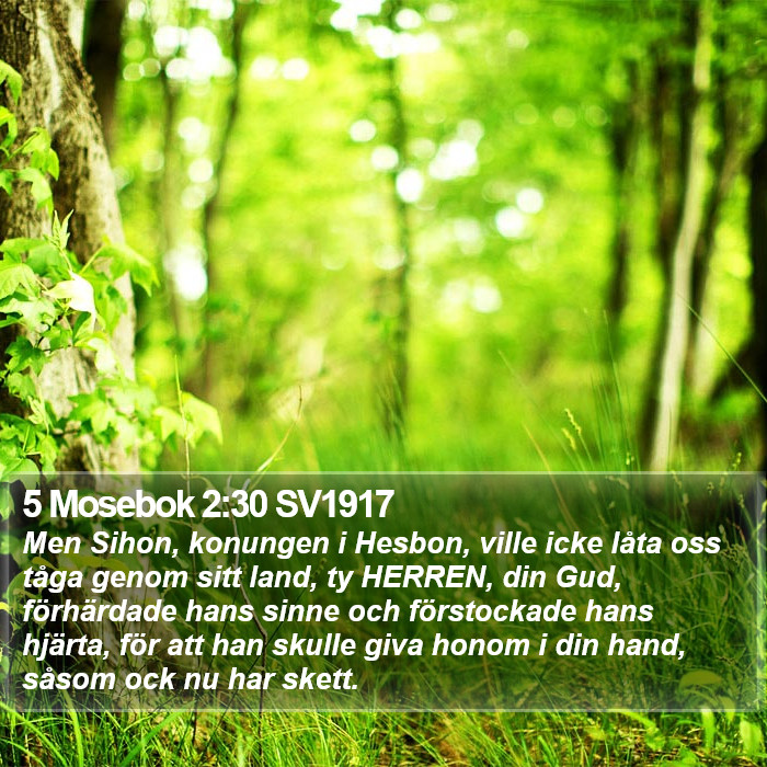 5 Mosebok 2:30 SV1917 Bible Study