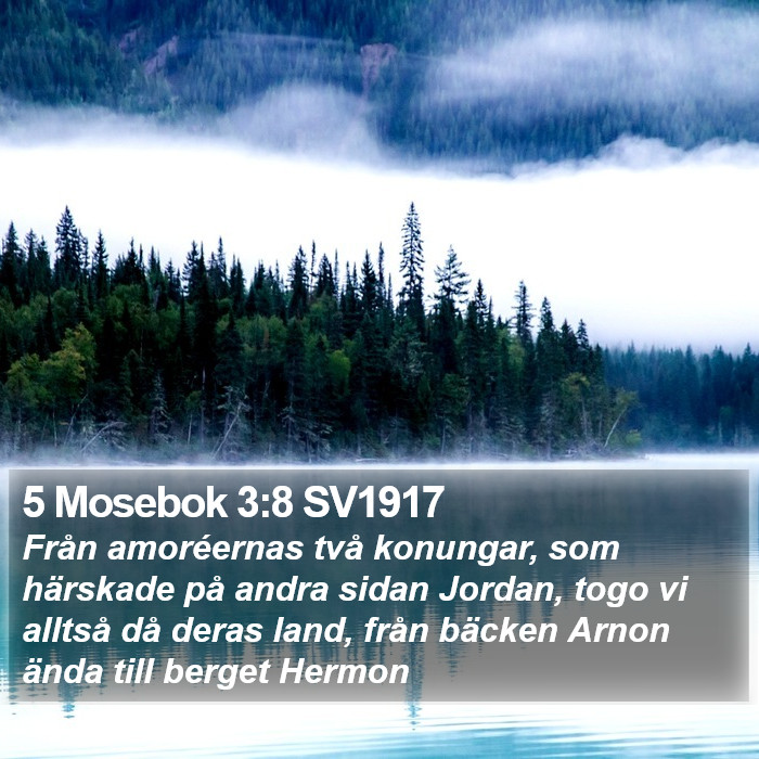 5 Mosebok 3:8 SV1917 Bible Study