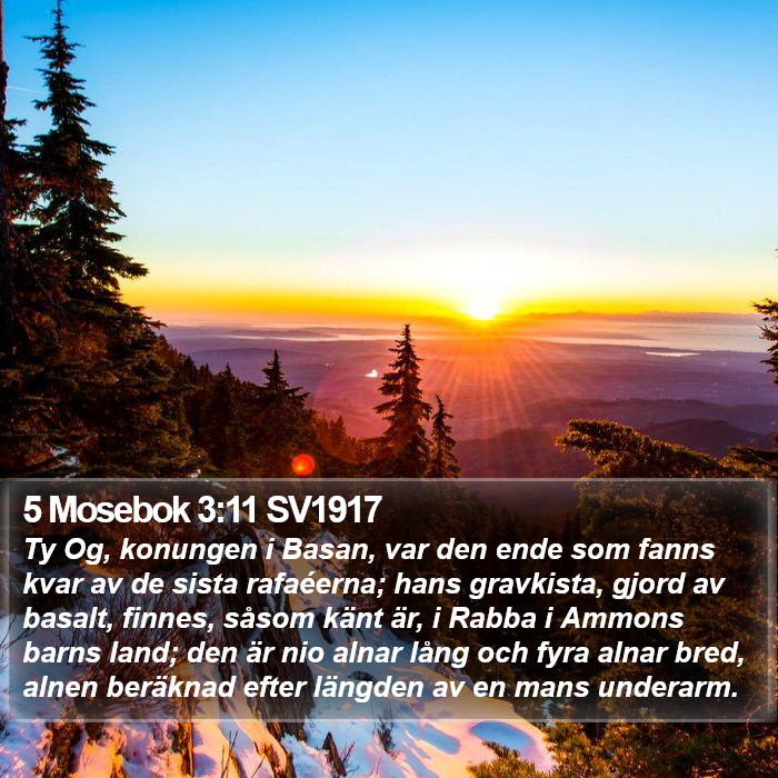 5 Mosebok 3:11 SV1917 Bible Study