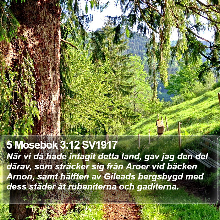 5 Mosebok 3:12 SV1917 Bible Study