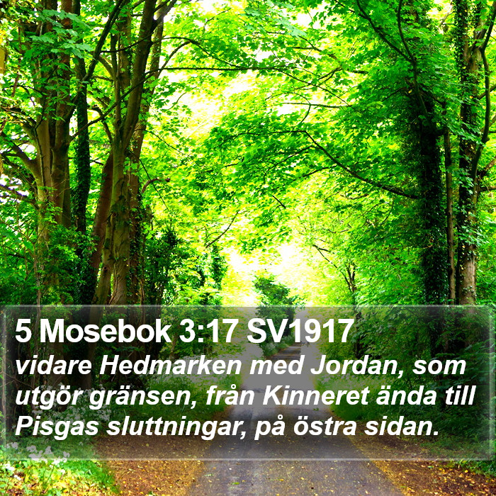 5 Mosebok 3:17 SV1917 Bible Study