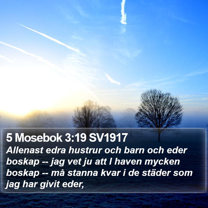 5 Mosebok 3:19 SV1917 Bible Study