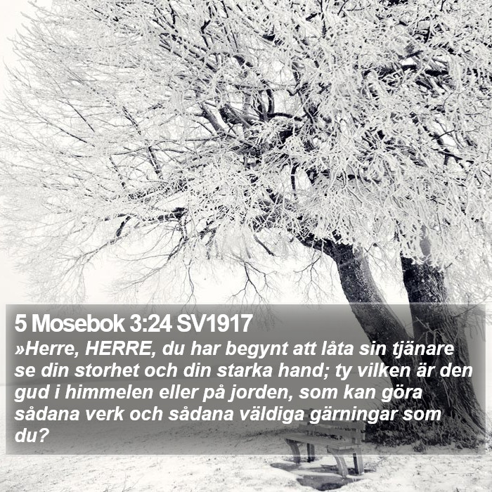 5 Mosebok 3:24 SV1917 Bible Study