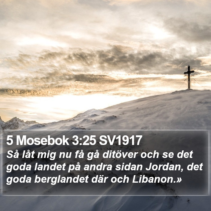 5 Mosebok 3:25 SV1917 Bible Study