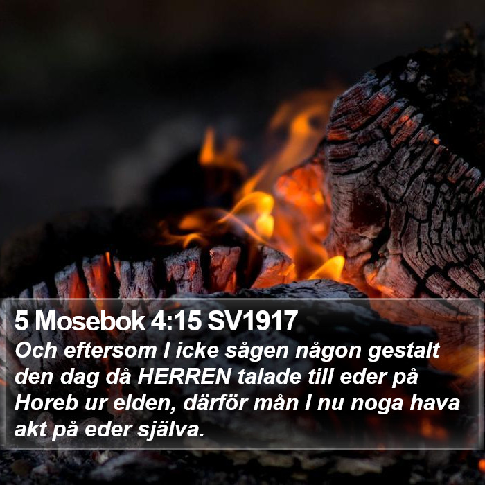 5 Mosebok 4:15 SV1917 Bible Study