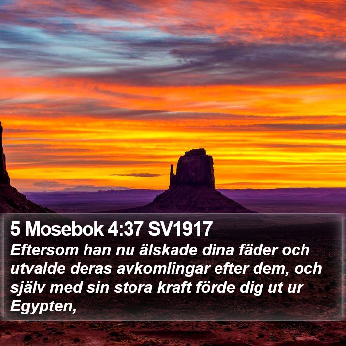 5 Mosebok 4:37 SV1917 Bible Study