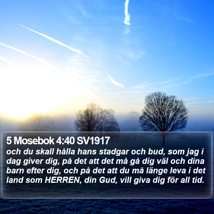 5 Mosebok 4:40 SV1917 Bible Study