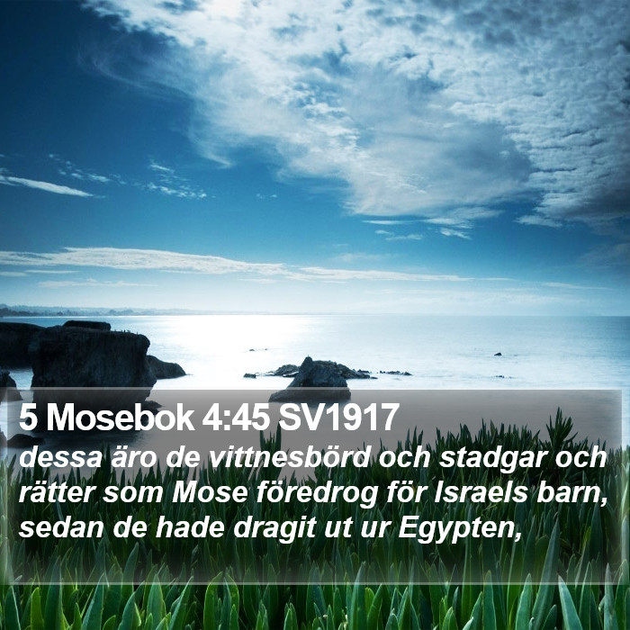 5 Mosebok 4:45 SV1917 Bible Study