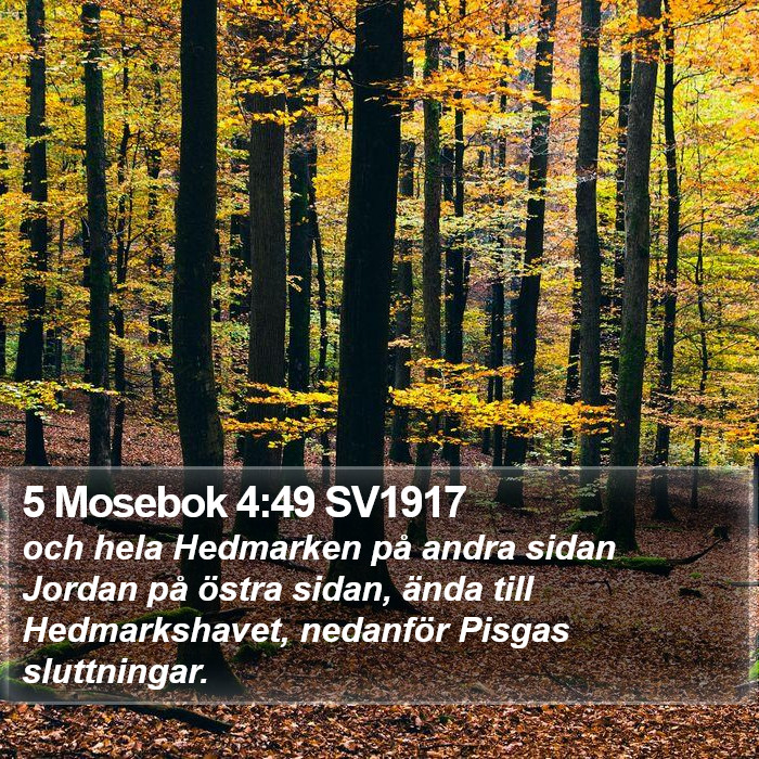 5 Mosebok 4:49 SV1917 Bible Study