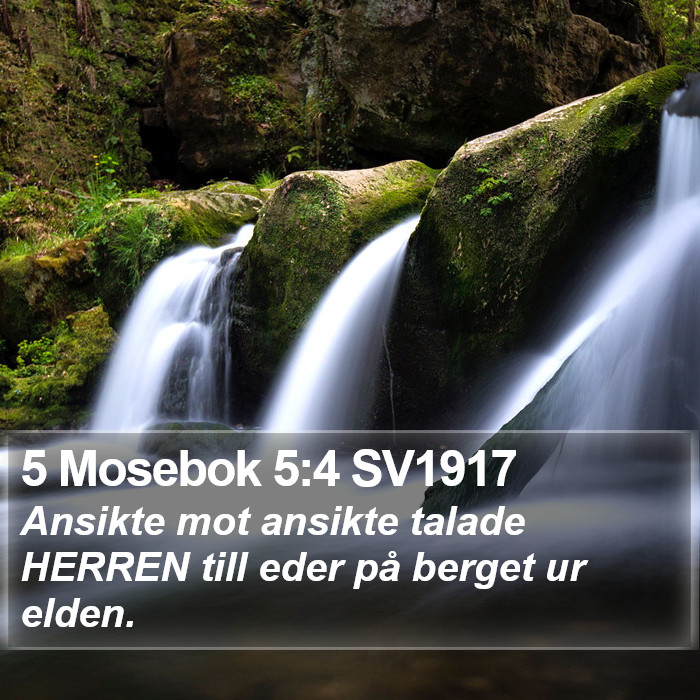 5 Mosebok 5:4 SV1917 Bible Study
