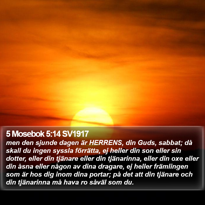 5 Mosebok 5:14 SV1917 Bible Study