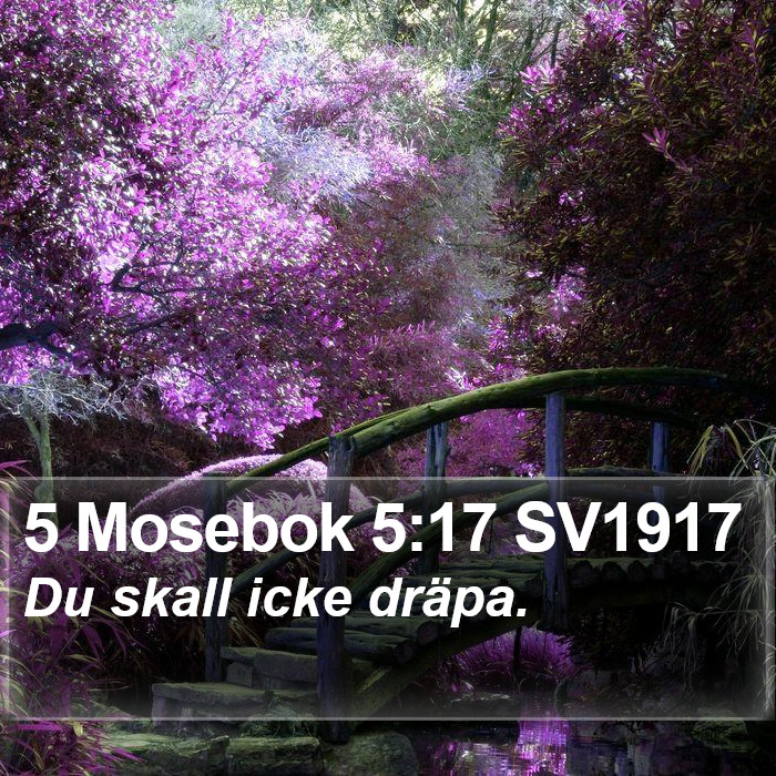 5 Mosebok 5:17 SV1917 Bible Study