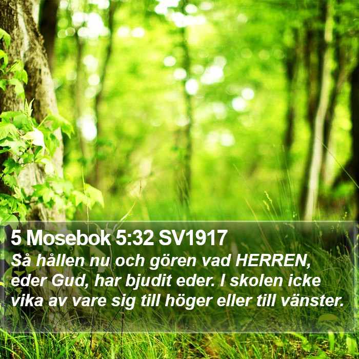 5 Mosebok 5:32 SV1917 Bible Study