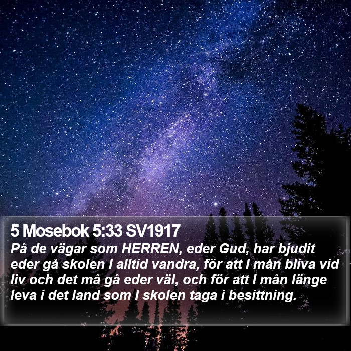 5 Mosebok 5:33 SV1917 Bible Study