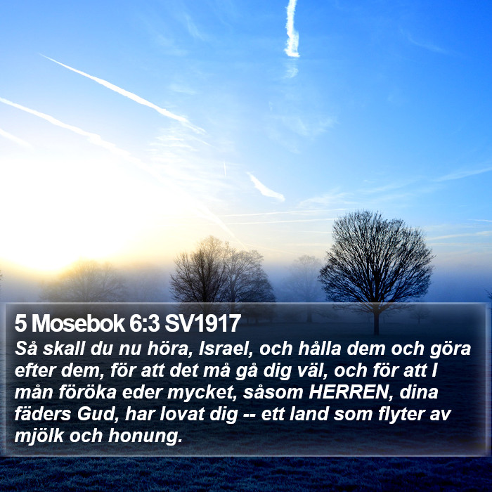 5 Mosebok 6:3 SV1917 Bible Study