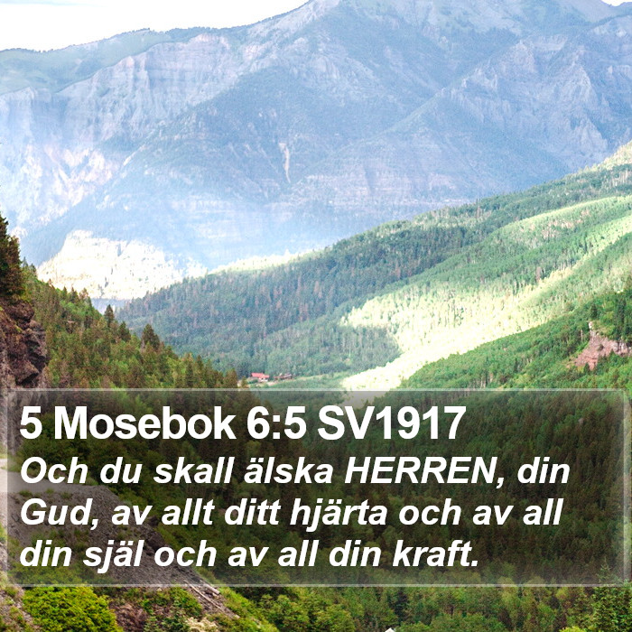 5 Mosebok 6:5 SV1917 Bible Study