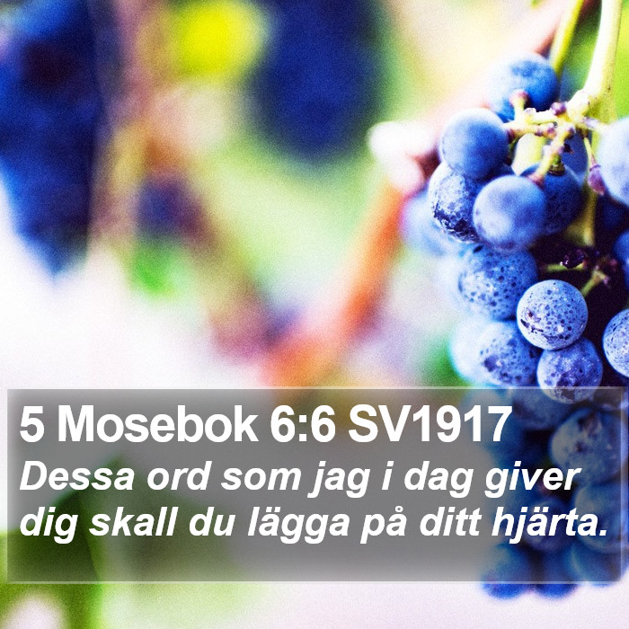 5 Mosebok 6:6 SV1917 Bible Study