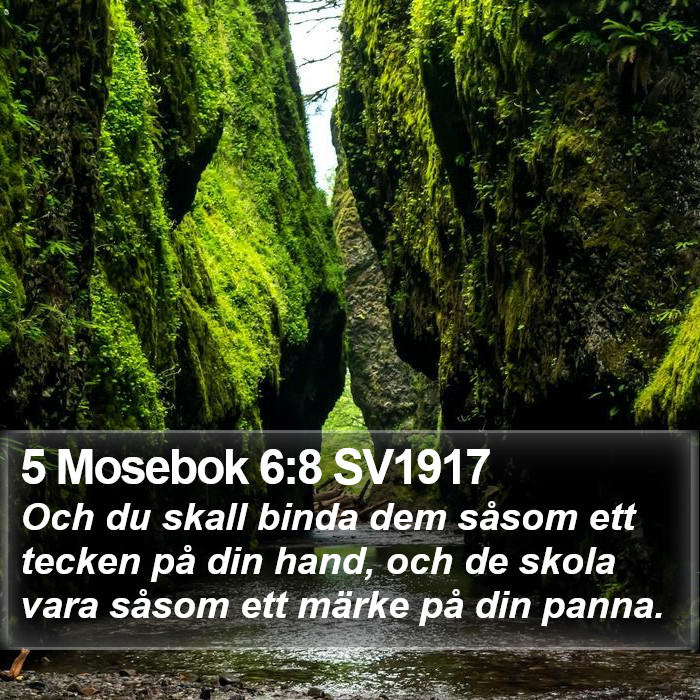 5 Mosebok 6:8 SV1917 Bible Study