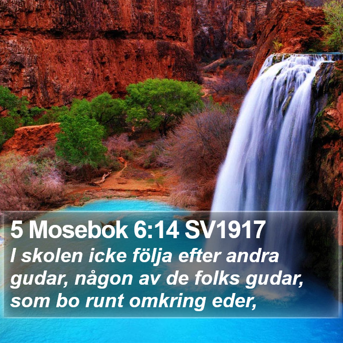 5 Mosebok 6:14 SV1917 Bible Study