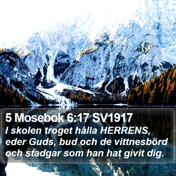 5 Mosebok 6:17 SV1917 Bible Study