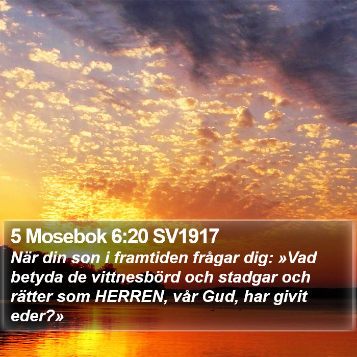 5 Mosebok 6:20 SV1917 Bible Study