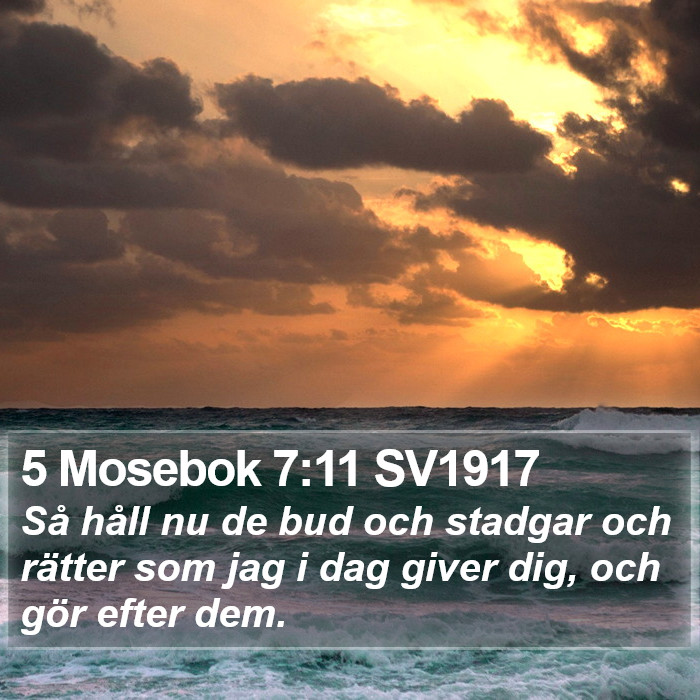 5 Mosebok 7:11 SV1917 Bible Study