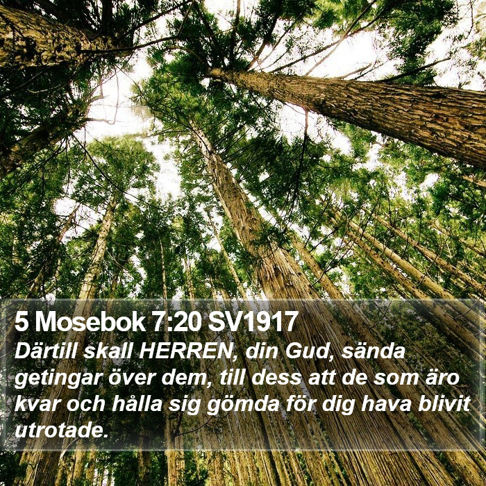 5 Mosebok 7:20 SV1917 Bible Study