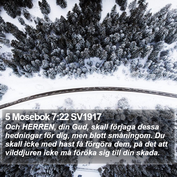 5 Mosebok 7:22 SV1917 Bible Study