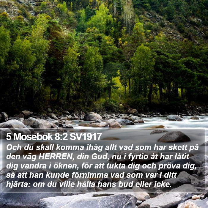 5 Mosebok 8:2 SV1917 Bible Study