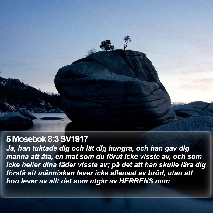 5 Mosebok 8:3 SV1917 Bible Study